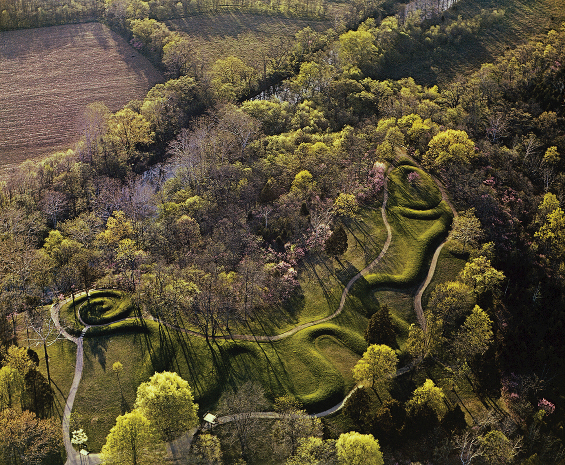 A photo of a snake shaped, grass-covered burial mound 1,300 feet in length and three feet high. The midsection winds back and forth. The tail is curled. A walkway around the perimeter provides visitor access.