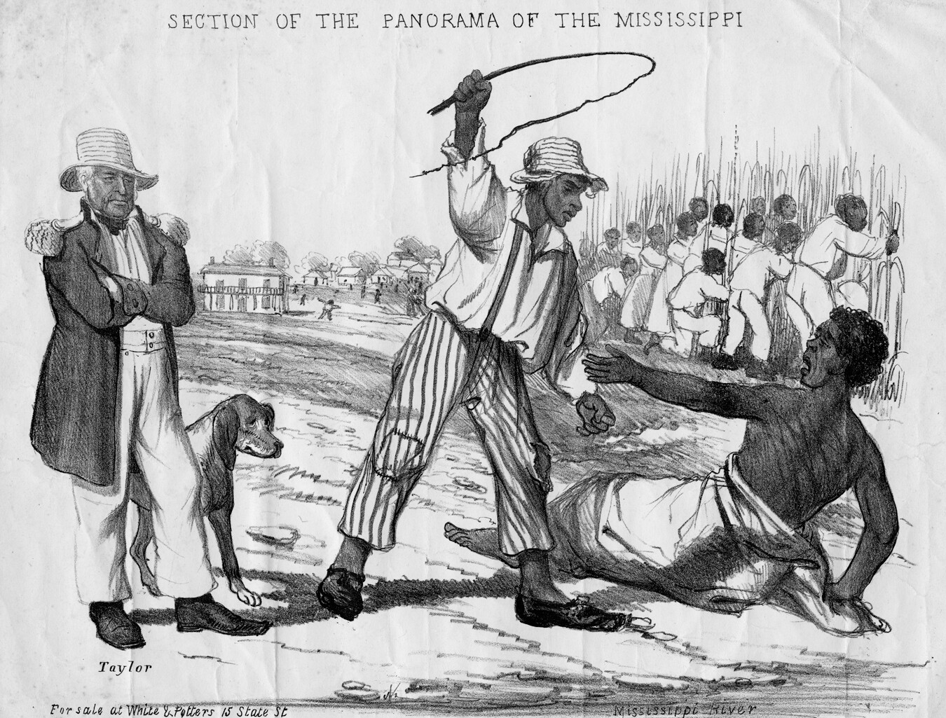 A political cartoon of a seeming hypocrisy done by president Zachary Taylor. Taylor, on the left, wears a straw hat and a military uniform coat. He looks on with folded arms as an overseer brutally whips a slave.