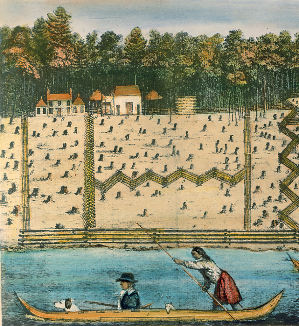 A region of clear cut land borders a river in the foreground and a dense forest in the background