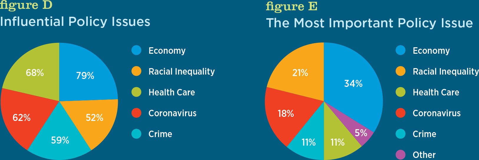 A pie chart shows the most influential policy issues in 2020.
