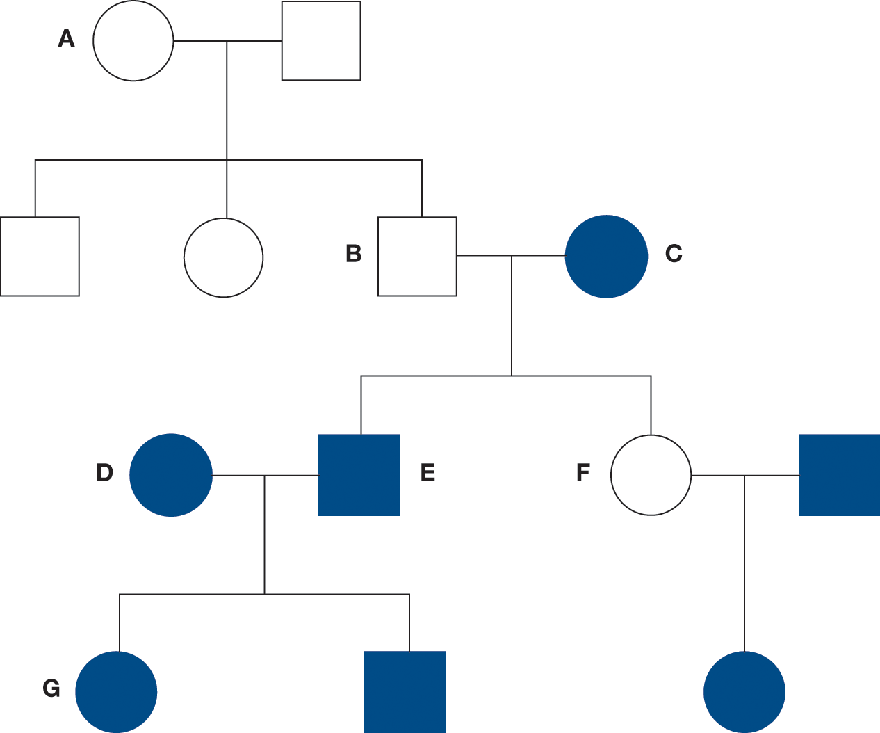 A pedigree diagram shows a male mating with a female (A), to produce three offsprings, two males, one is B and one female. The B mates with a female, C, shaded and produces two offsprings: a male, E, shaded female F. E mates with a female, D, shaded to produce two offsprings: a female G, shaded and a male, shaded). F mates with a male, shaded, to produce a female, shaded.