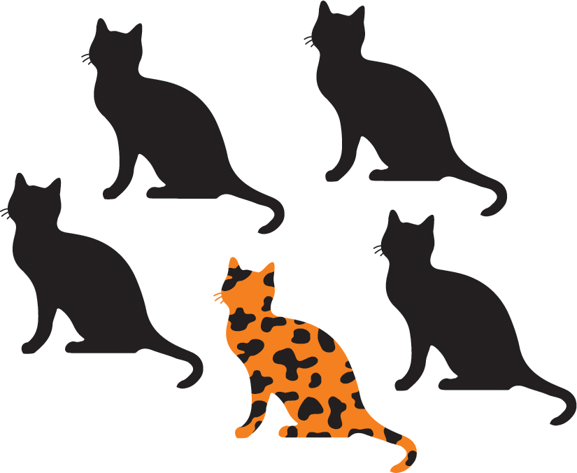 An illustration shows 5 cats. 4 among them are black and the fifth has a pattern.