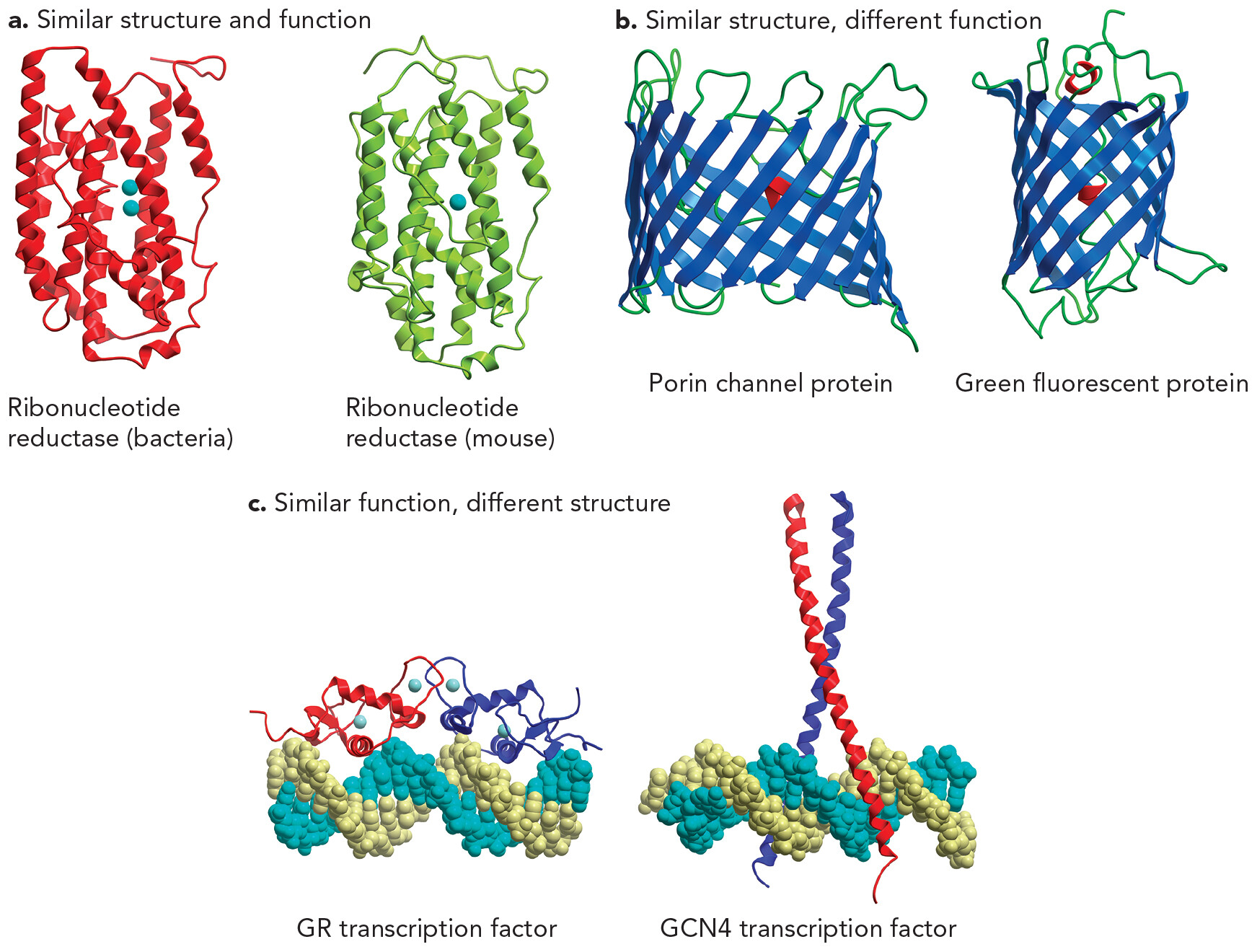 1.4 Determinants of Biomolecular Structure and Function