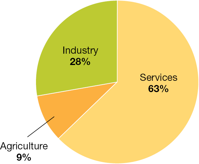 A pie chart split in 3 sections titled Labor Force by Occupation.