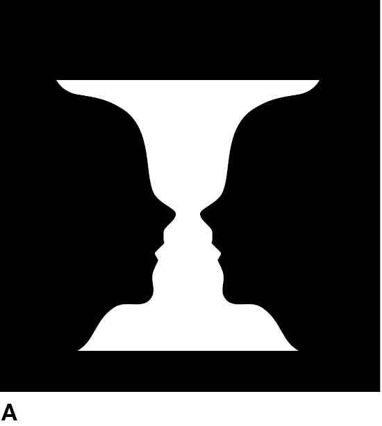 Ambiguous Normal Objects Example Form Perception