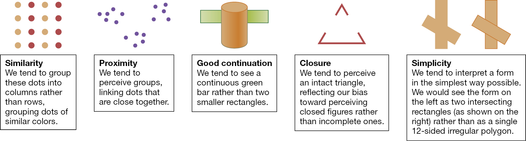 Form Perception