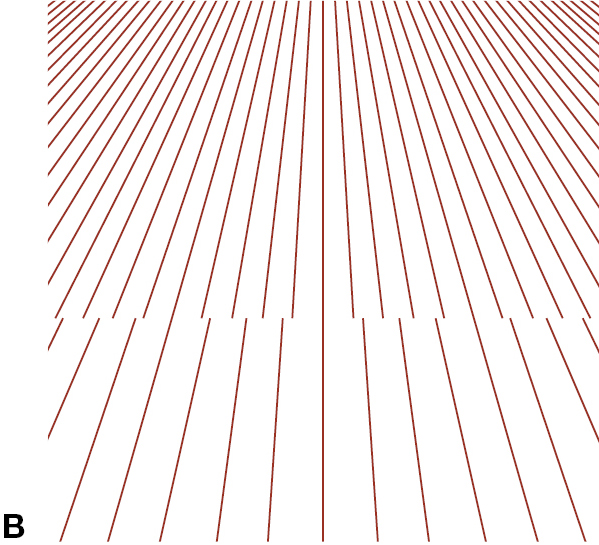 The Perception of Depth