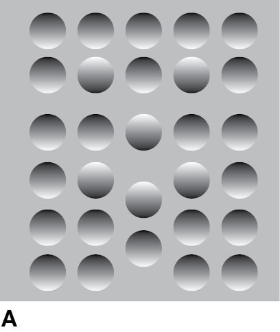 The Perception of Depth