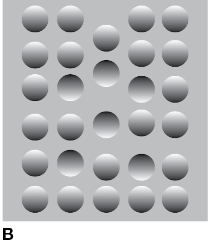 The Perception of Depth