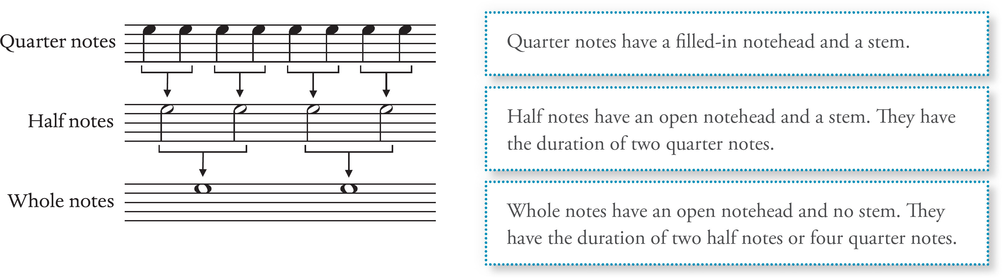A music notation diagram shows note values with relationships between quarter, half, and whole notes.
