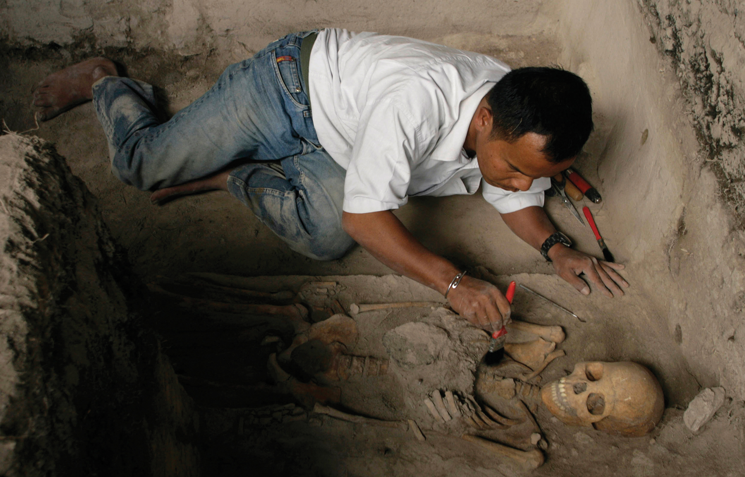 A man lies in a shallow pit, using brushes and other tools to remove earth from a skeleton.
