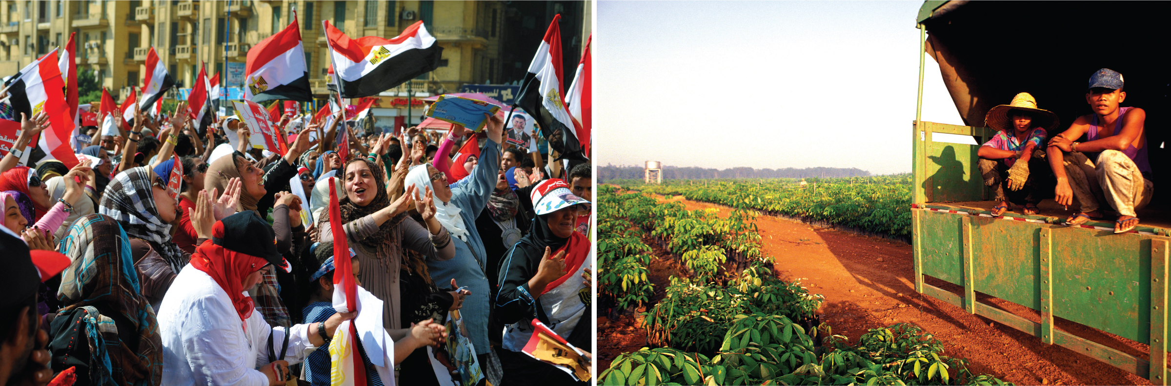 A group of protesters look up and wave Egyptian flags.; Two people in hats sit in the back of a large work truck next to a field of small plants.