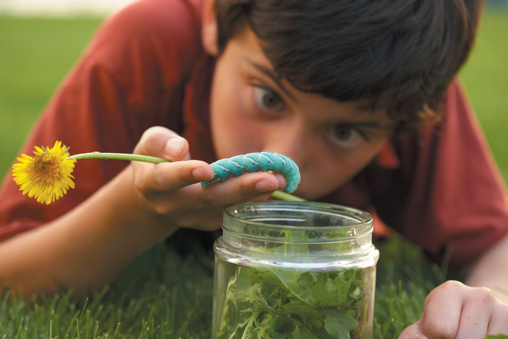 A photo of a boy looking closely at a blue caterpillar crawling across his hand.