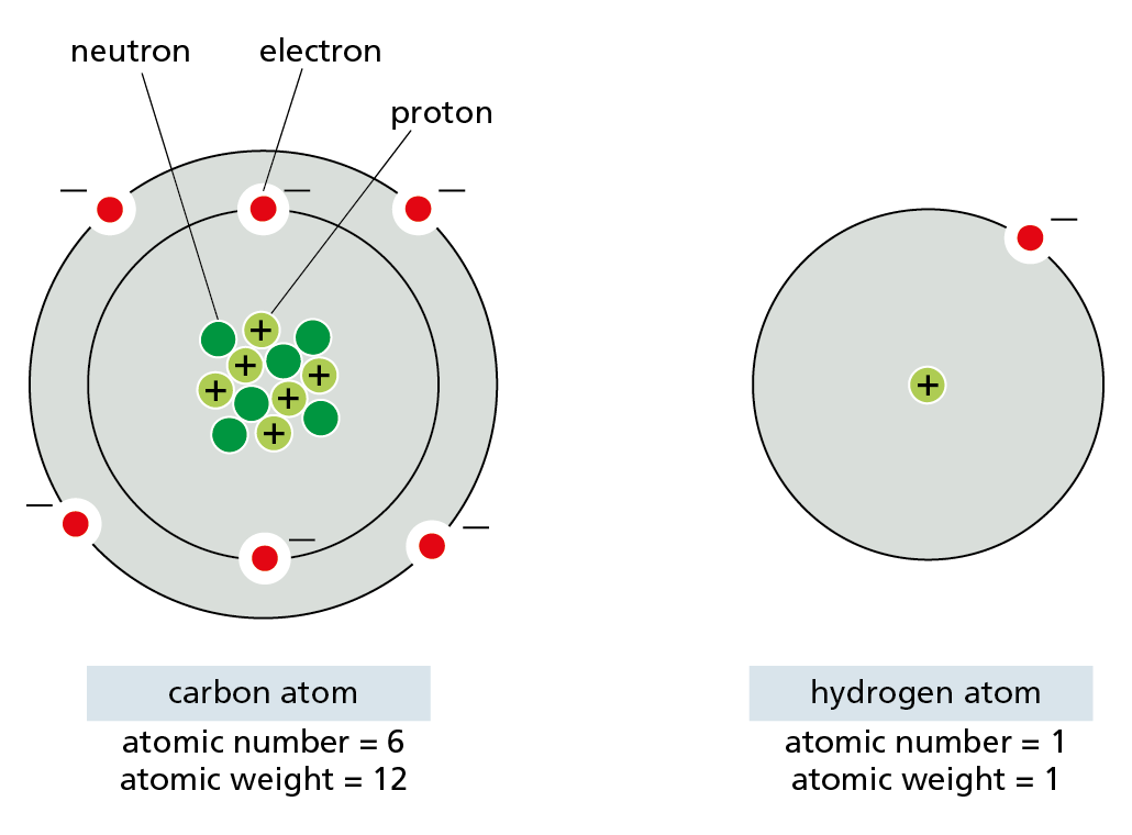 The atomic models of carbon and hydrogen are shown.