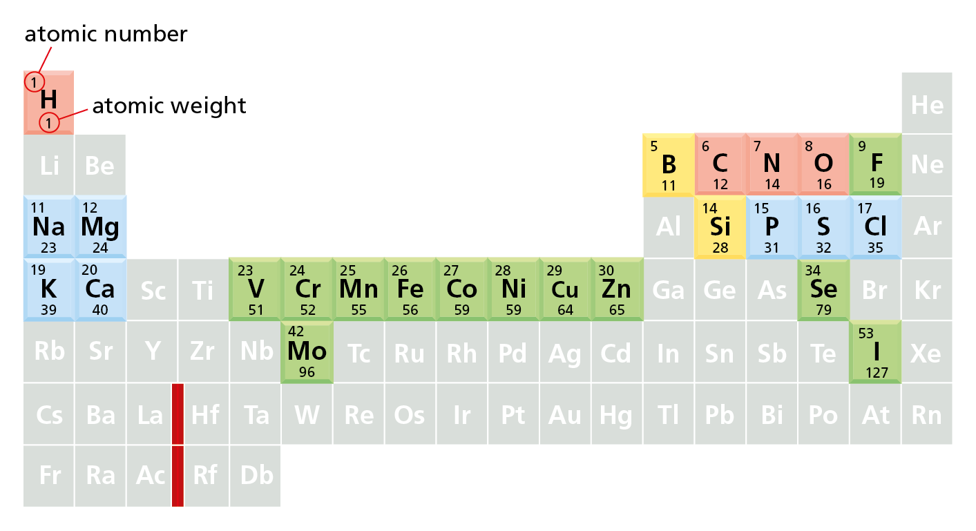 An illustration shows a periodic table where elements that have similar properties are highlighted.