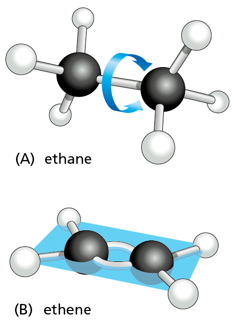 A two-part illustration (A and B) shows ball and stick models of ethane and ethene.
