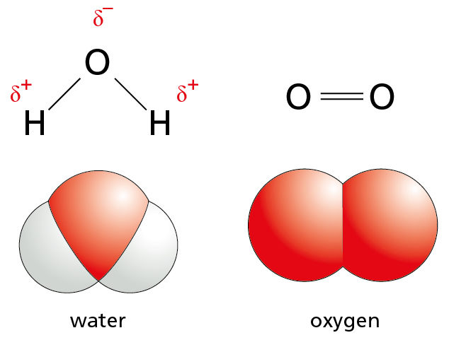 An illustration shows skeletal structures and space filling models of water and molecular oxygen.
