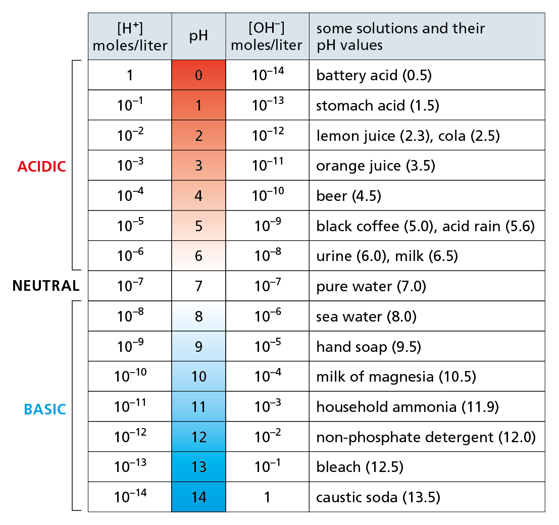 A table shows the p H of common substances.