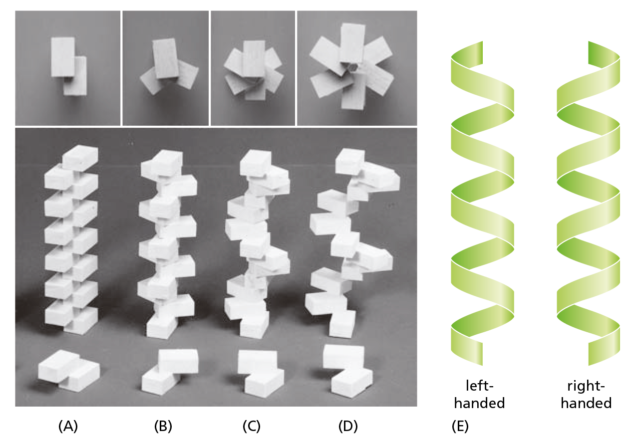 A diagram shows a series of photographs of stacked blocks and simplified ribbon models to represent protein helices.
