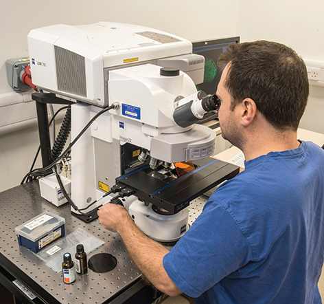 Conventional Light Microscopy