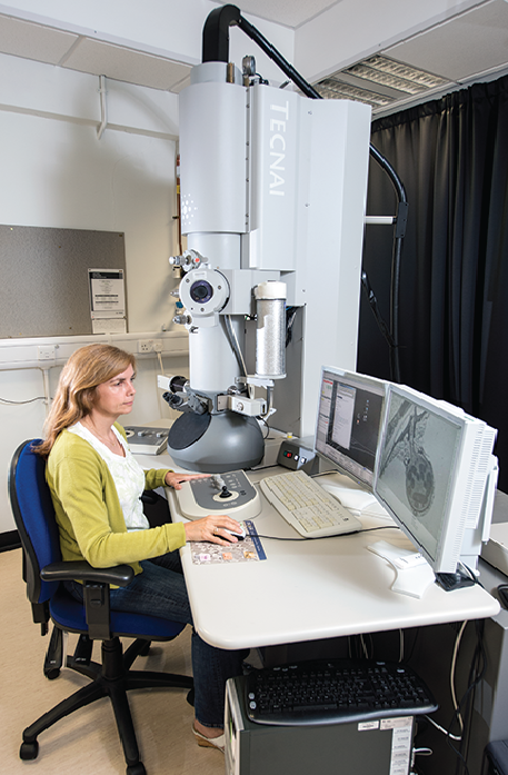  Transmission Electron Microscopy