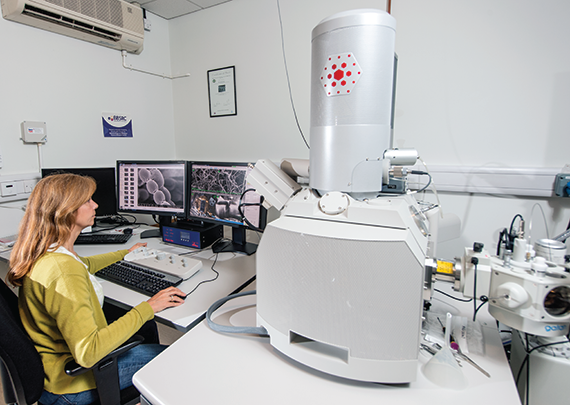 Scanning Electron Microscopy