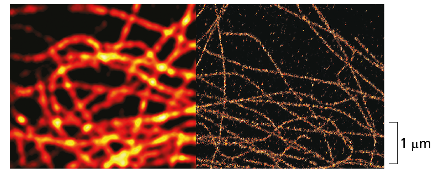 Super Resolution Fluorescence Microscopy