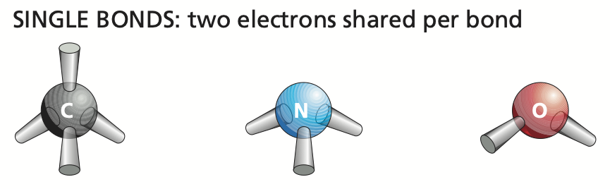 Covalent Bonds