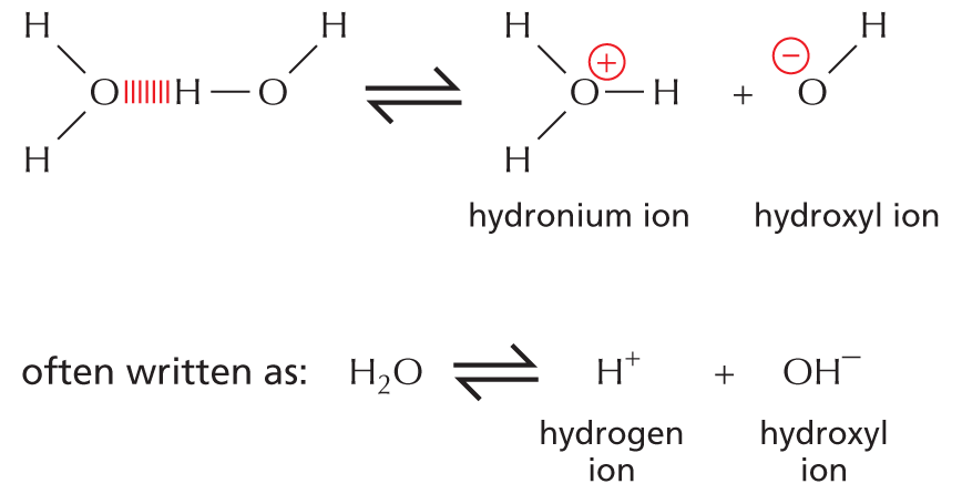 Hydrogen Ion Exchange