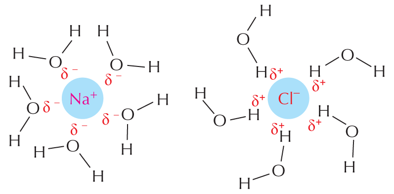 Hydrophilic Molecules
