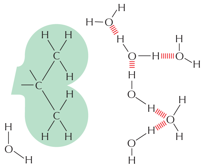 Hydrophilic Molecules