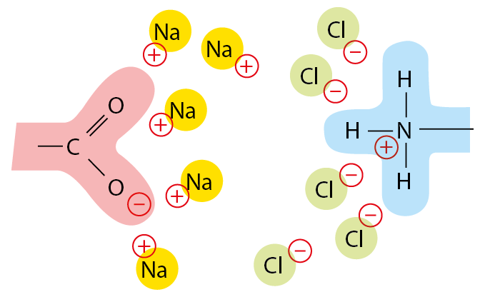 Electrostatic Attractions in water
