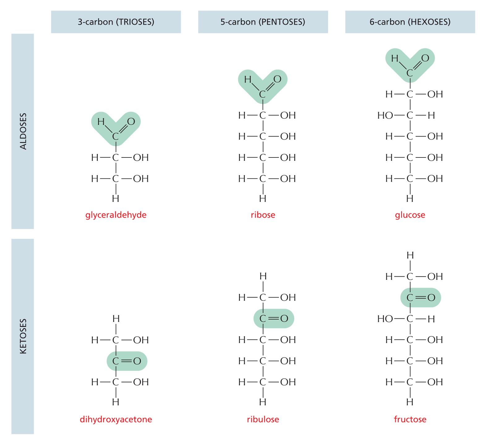 Monosaccharides