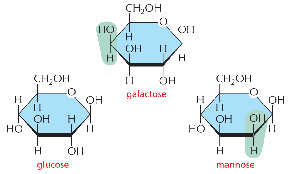 Isomers