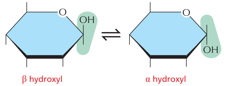 Alpha and Beta Links