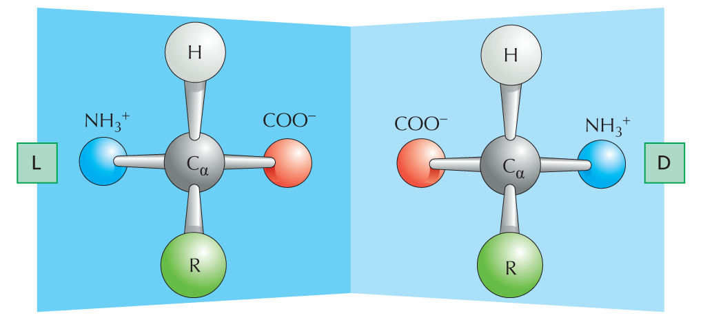 Optical Isomers