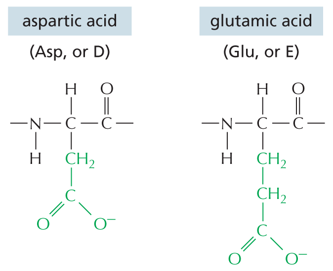 Acidic Side Chains