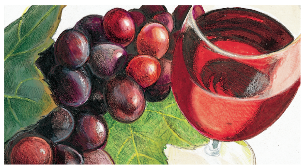 The functions and examples of enzymes are shown with a portrait of black grapes and a cup of wine.