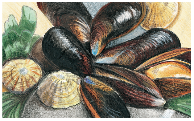 The functions and examples of special-purpose proteins are shown with a portrait of glossy sea shells on a rock.