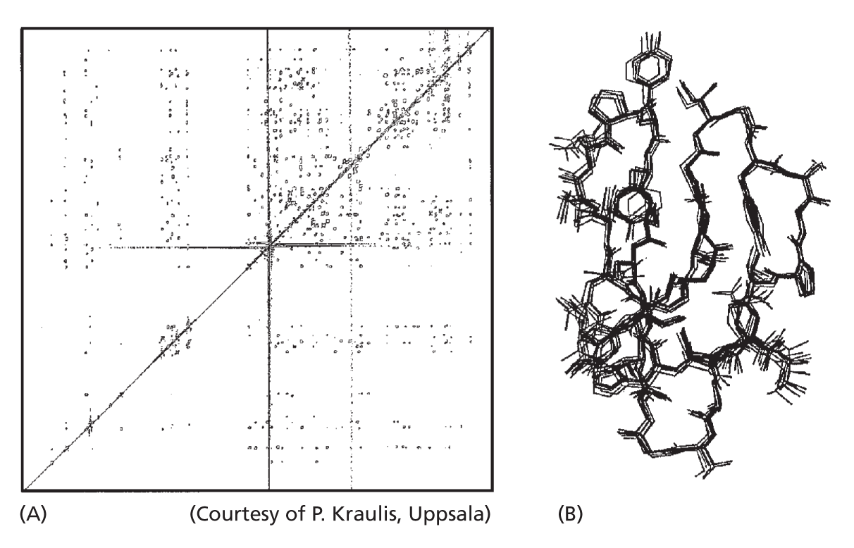 An illustration shows N M R spectroscopy under two sections.