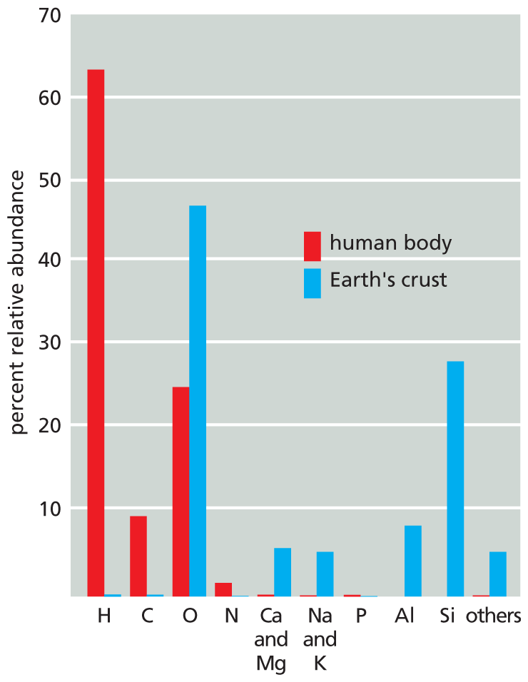 A bar graph depicts the abundance of various elements in the human body and the Earth’s crust.