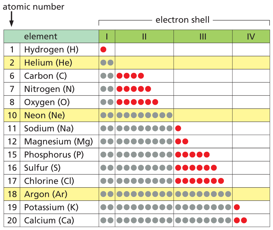 A table has arranged various elements by increasing atomic number and the degree of completion of their electron shells.