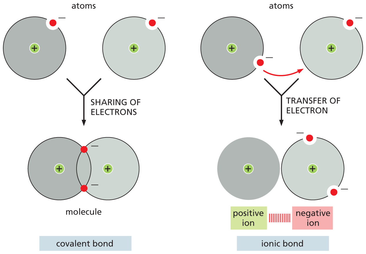 Two illustrations depict the formation of a covalent bond and an ionic bond.