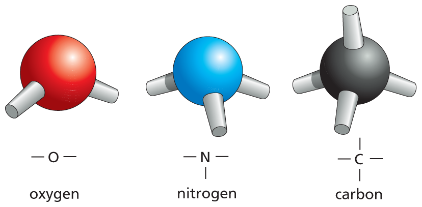 An illustration shows ball and stick models of oxygen, nitrogen, and carbon.