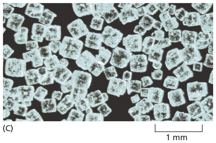 A micrograph shows crystals of sodium chloride, approximately 0.5 millimeters in diameter.