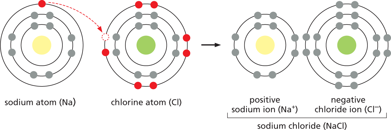 An illustration shows atomic models of sodium, chlorine, and sodium chloride.