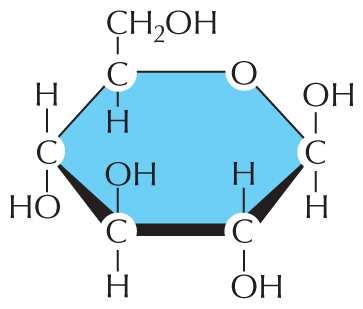 The first illustration is a Haworth projection of glucose.