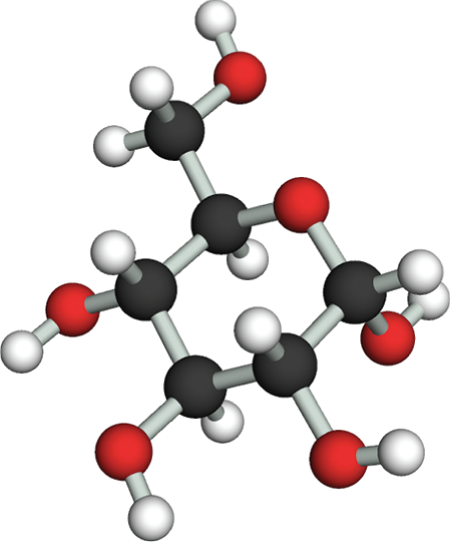 The third illustration is a ball and stick model of glucose