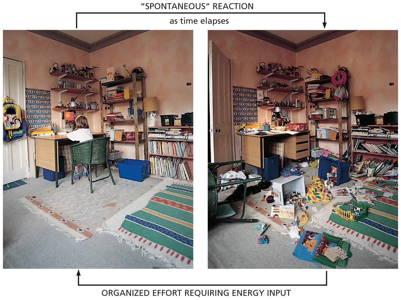 Two photos depict the effects of a spontaneous reaction and the organized effort to reverse it.