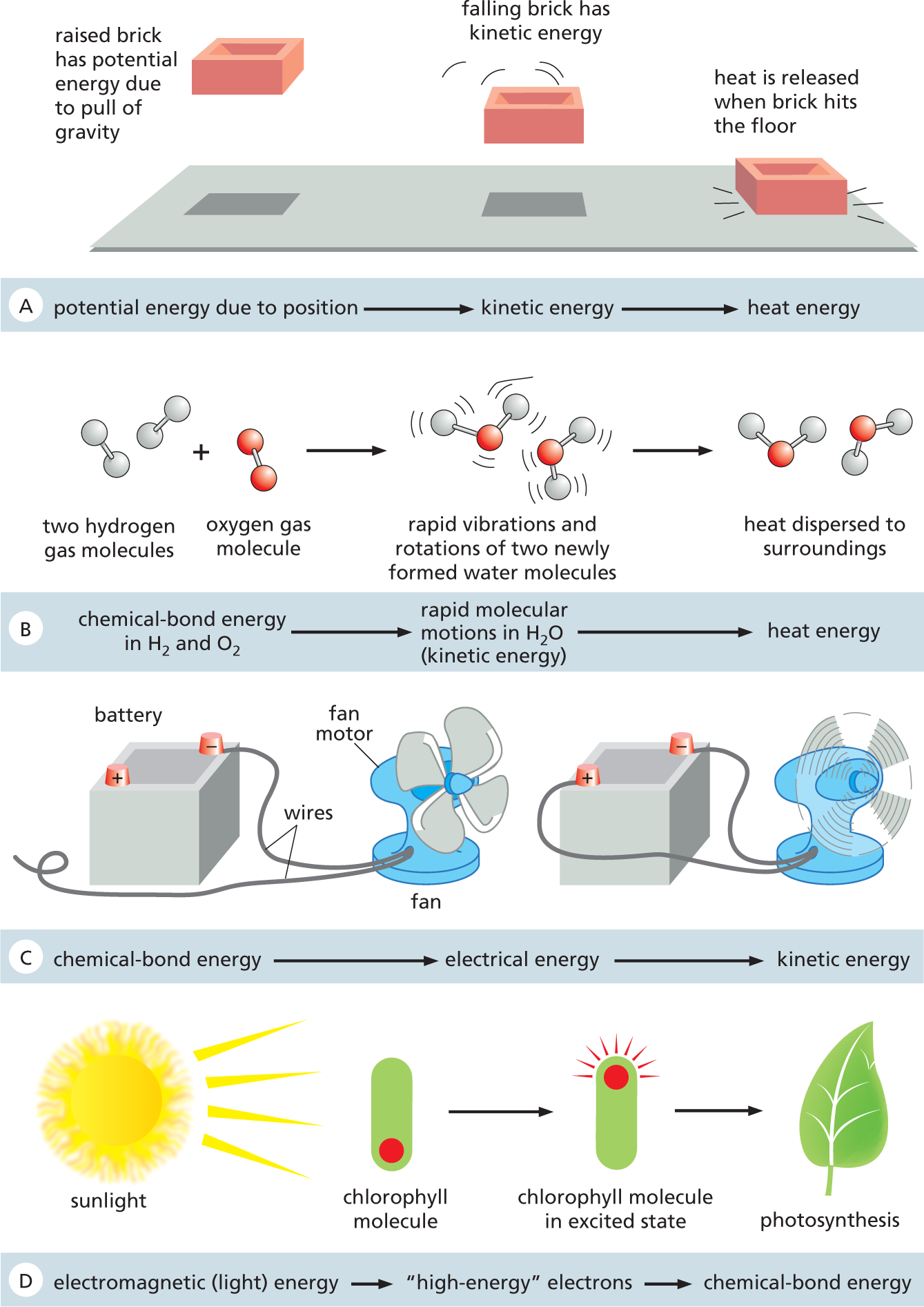 A four-part illustration depicts four different reactions.